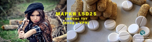хмурый Елизово