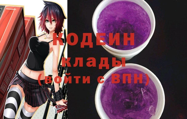 хмурый Елизово