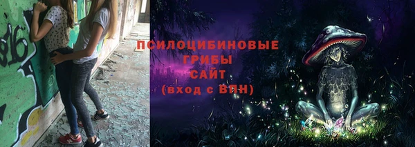 хмурый Елизово